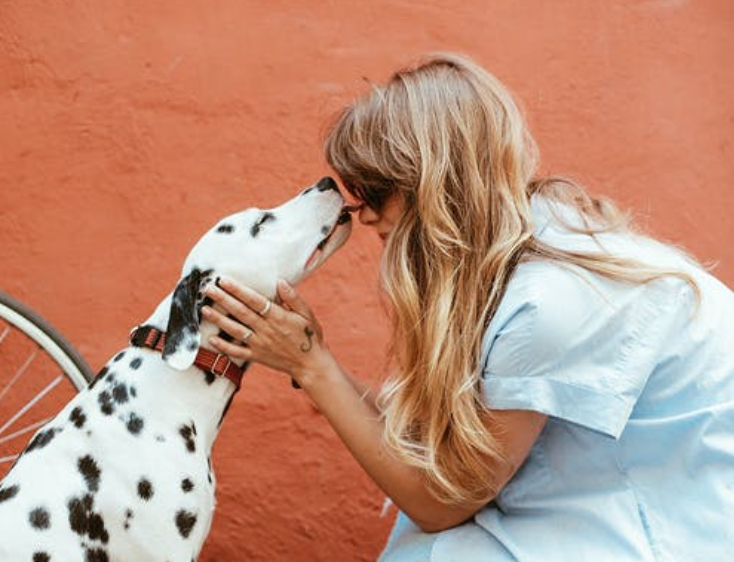 woman and dalmatian