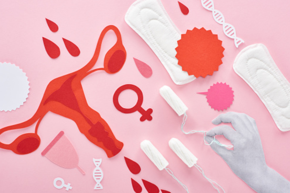 menstrual period